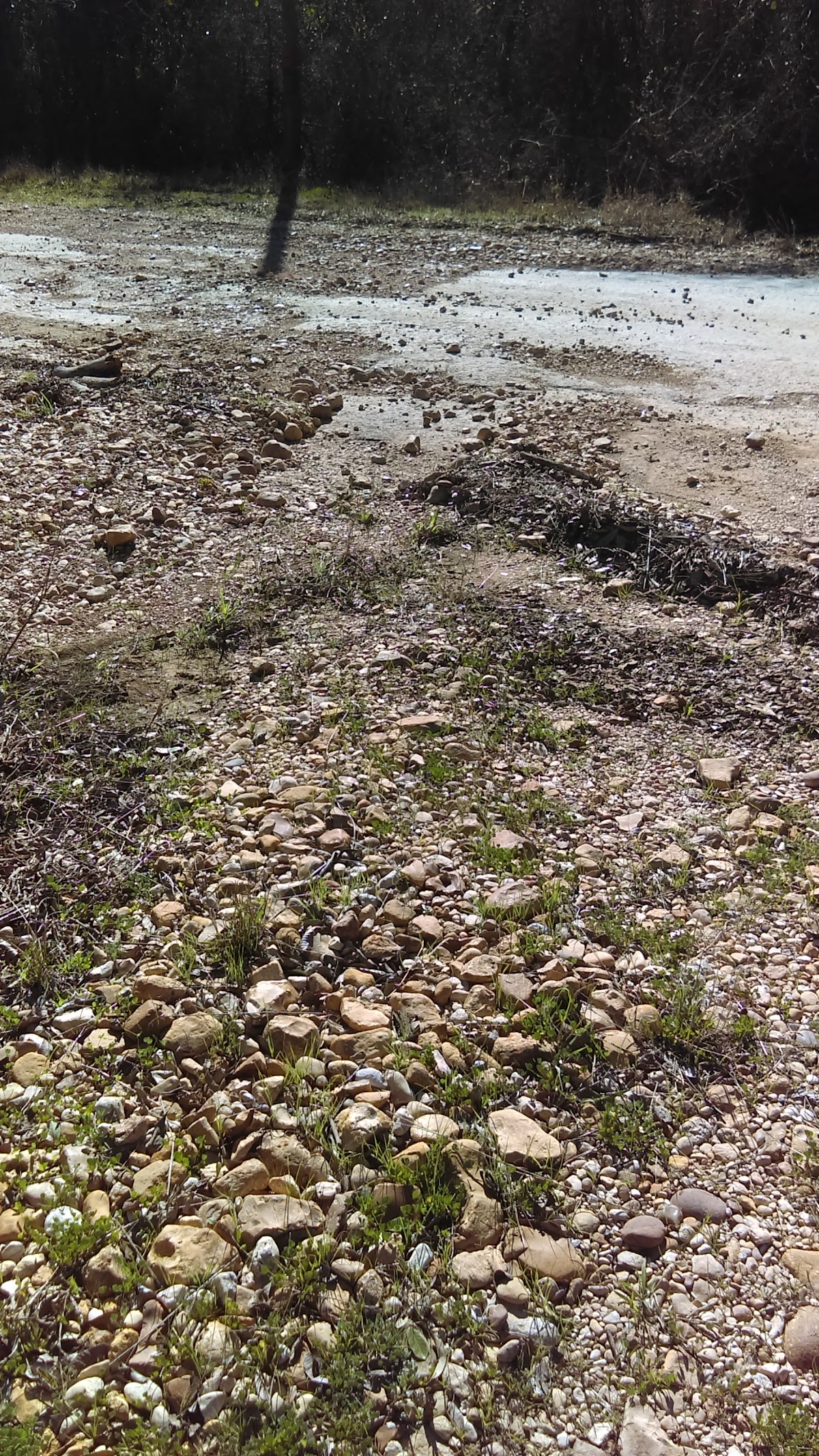 Rocky terrain outdoor plumbing job site in Caldwell County